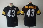 Jerseys Factory Cheap Nike Steelers #43 Troy Polamalu Black Team