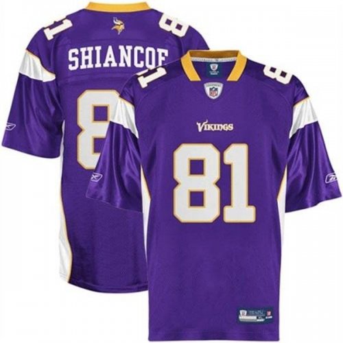 Jerseys Factory Cheap Vikings #81 Visanthe Shiancoe Purple Stitc