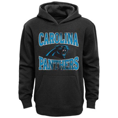 Jerseys Factory Cheap Carolina Panthers Home Turf Pullover Hoodi