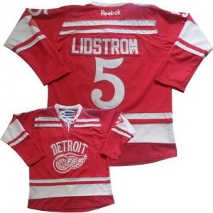 Jerseys Factory Cheap Red Wings #5 Nicklas Lidstrom Red 2014 Win