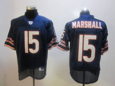 Jerseys Factory Cheap Bears #15 Brandon Marshall Blue Stitched N