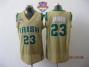 Jerseys Factory Cheap Fighting Irish #23 Lebron James Earth Yell