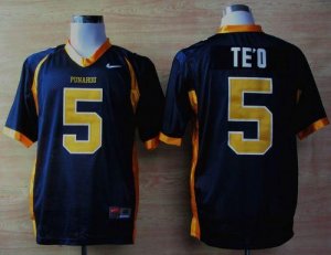 Jerseys Factory Cheap Fighting Irish #5 Manti Te'o Navy Blue Pun