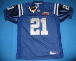 Jerseys Factory Cheap Colts #21 Bob Sanders Blue With Super Bowl