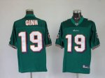 Jerseys Factory Cheap Dolphins Ted Ginn #19 Green Stitched NFL J