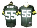 Jerseys Factory Cheap Packers #55 Desmond Bishop Green Stitched