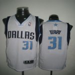 Jerseys Factory Cheap Revolution 30 Mavericks #31 Jason Terry Wh