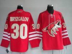 Jerseys Factory Cheap Coyotes #30 Ilya Bryzgalov Embroidered Red