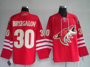 Jerseys Factory Cheap Coyotes #30 Ilya Bryzgalov Embroidered Red