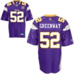 Jerseys Factory Cheap Vikings #52 Chad Greenway Purple Team 50TH