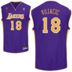 Jerseys Factory Cheap Lakers #18 Sasha Vujacic Stitched Purple C