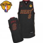 Jerseys Factory Cheap Heat Finals Patch #6 LeBron James Carbon F