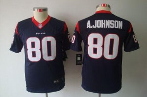 Jerseys Factory Cheap Nike Texans #80 Andre Johnson Navy Blue Te