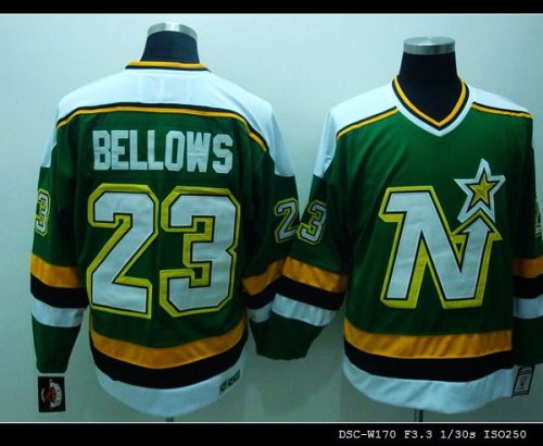 Jerseys Factory Cheap Stars #23 Brian Bellows Embroidered Green
