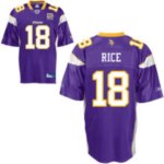 Jerseys Factory Cheap Vikings #18 Sidney Rice Purple Team 50TH P