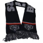 Jerseys Factory Cheap Chicago Bears Ladies Metallic Thread Scarf