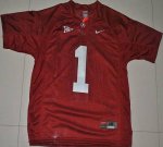 Jerseys Factory Cheap Crimson Tide #1 Nick Saban Red Embroidered