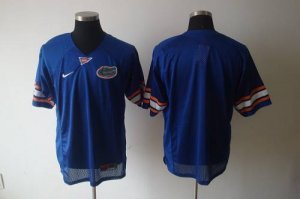 Jerseys Factory Cheap Gators Blank Blue Embroidered NCAA Jersey