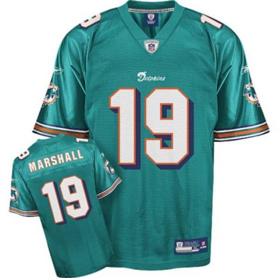 Jerseys Factory Cheap Dolphins #19 Brandon Marshall Green Embroi