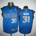 Jerseys Factory Cheap Revolution 30 Mavericks #31 Jason Terry Sk
