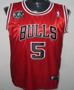 Jerseys Factory Cheap Bulls #5 Carlos Boozer Red With 20TH Embro