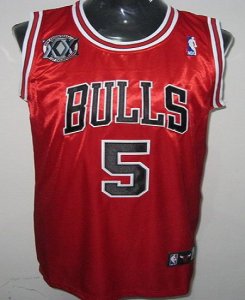 Jerseys Factory Cheap Bulls #5 Carlos Boozer Red With 20TH Embro