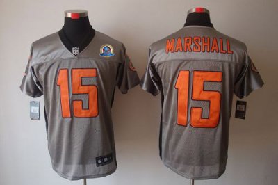 Jerseys Factory Cheap Nike Bears #15 Brandon Marshall Grey Shado