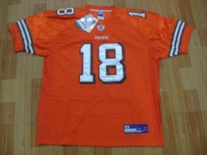 Jerseys Factory Cheap Browns #18 Donte Stallworth Orange Stitche