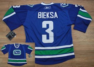 Jerseys Factory Cheap Canucks #3 Kevin Bieksa Embroidered Blue T