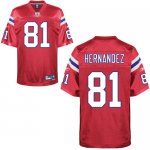 Jerseys Factory Cheap Patriots #81 Aaron Hernandez Red Stitched