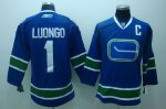 Jerseys Factory Cheap Canucks #1 Roberto Luongo Embroidered Blue