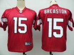 Jerseys Factory Cheap Cardinals #15 Steve Breaston Red Stitched
