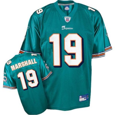 Jerseys Factory Cheap Dolphins #19 Brandon Marshall Green Stitch