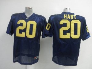 Jerseys Factory Cheap Wolverines #20 Mike Hart Blue Embroidered