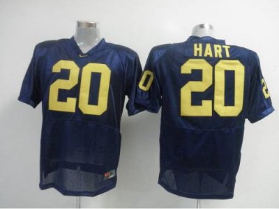 Jerseys Factory Cheap Wolverines #20 Mike Hart Blue Embroidered