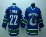 Jerseys Factory Cheap Canucks #22 D.sedin Blue Embroidered Youth