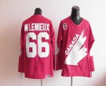 Jerseys Factory Cheap Team Canada 1991 Olympic CCM Throwback #66
