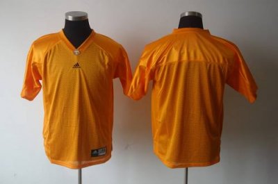 Jerseys Factory Cheap Vols Blank Orange Embroidered NCAA Jersey