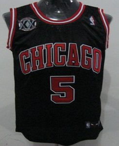 Jerseys Factory Cheap Bulls #5 Carlos Boozer Black With 20TH Emb