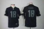 Jerseys Factory Cheap Nike Packers #18 Randall Cobb Black Impact
