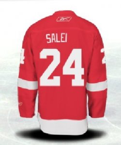 Jerseys Factory Cheap Red Wings #24 Ruslan Salei Red Embroidered