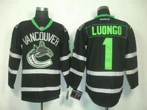 Jerseys Factory Cheap Canucks #1 Roberto Luongo Black Ice Embroi