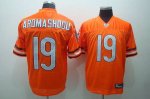 Jerseys Factory Cheap Bears #19 Devin Aromashodu Orange Stitched
