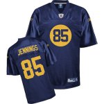 Jerseys Factory Cheap Packers #85 Greg Jennings Blue Stitched NF