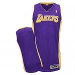Jerseys Factory Cheap Revolution 30 Lakers Blank Purple Embroide