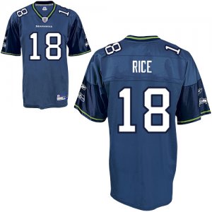 Jerseys Factory Cheap Seahawks #18 Sidney Rice Blue Stitched NFL