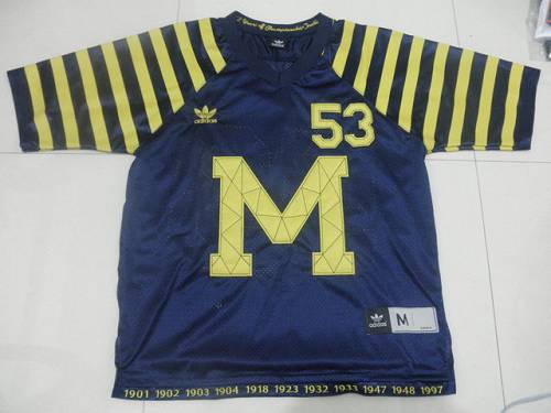 Jerseys Factory Cheap Wolverines #53 Michigan Blue Under The Lig