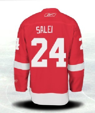 Jerseys Factory Cheap Red Wings #24 Ruslan Salei Red Embroidered